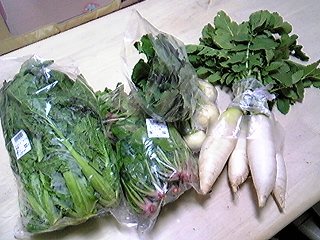 大根