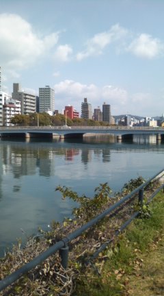 桜が咲かない