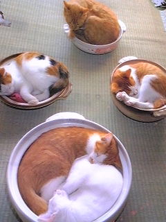 。。。