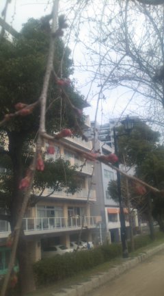 春