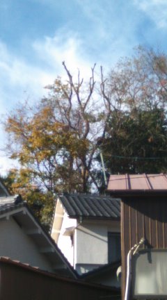 さっぱり