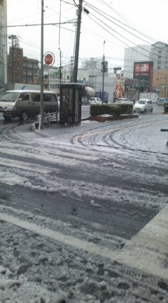 雪で~す。