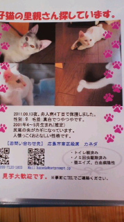 また里親探しています。
