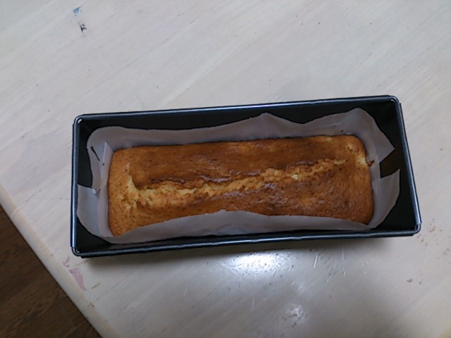今日は…