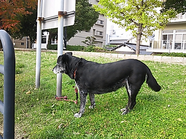 14歳の誕生日