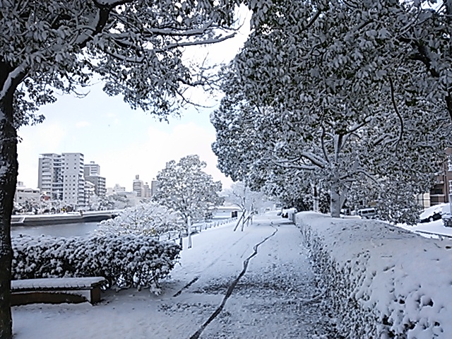 広島市内も雪