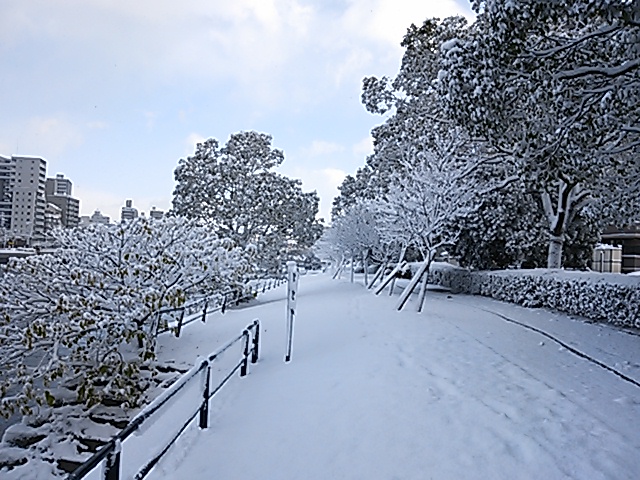 広島市内も雪
