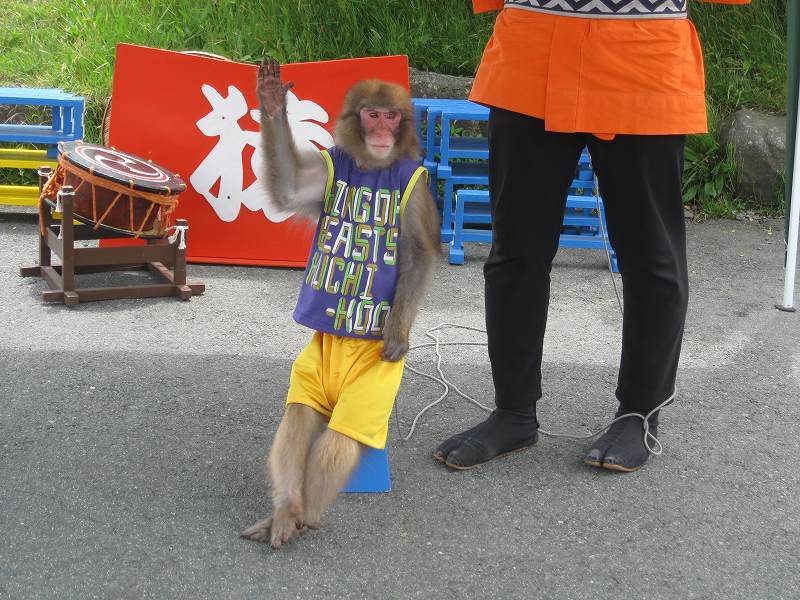 大観峰での出逢い
